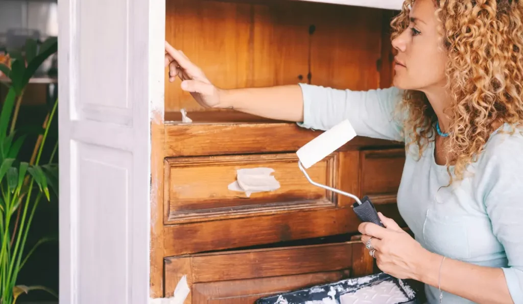 cabinet painting  refinishing